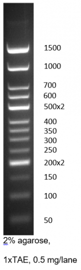 ДНК Маркер hq-new-50bp